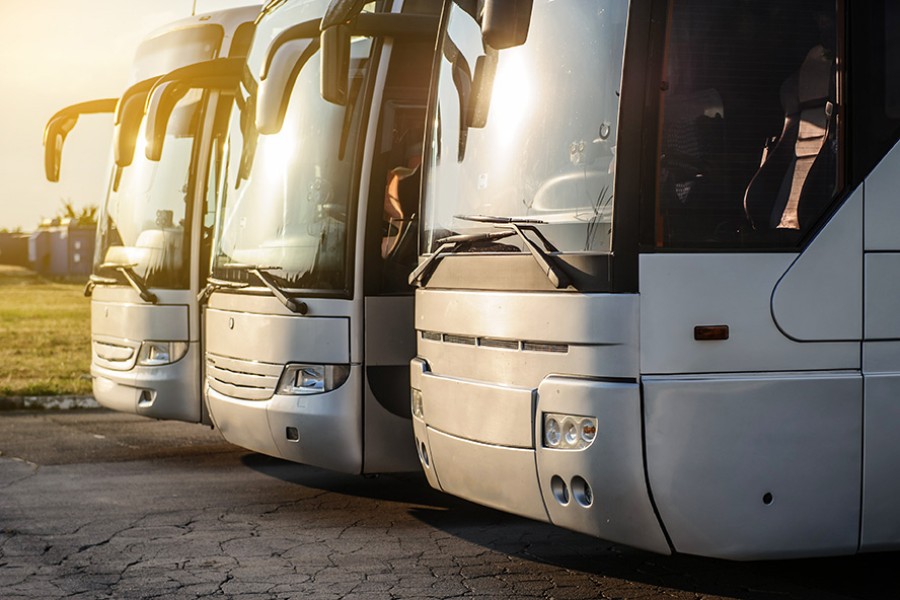 Cofece impone multas máximas a 18 empresas y 31 personas por colusión en el mercado de transporte terrestre de pasajeros. Foto de Cofece