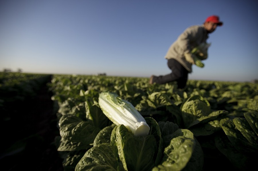 Los envíos de dinero a México superaron los cinco mil millones de dólares mensuales por novena vez en la historia. Foto AP/Gregory Bull