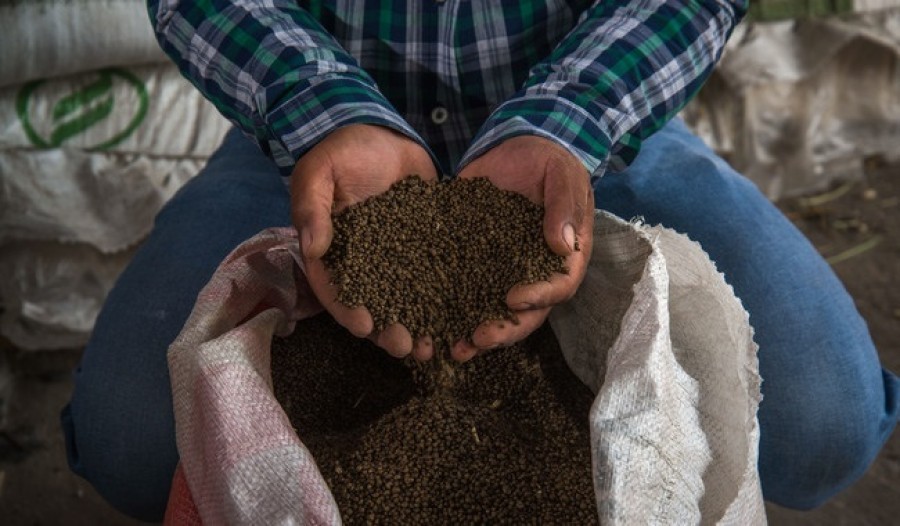 La Secretaría de Agricultura y Desarrollo Rural dijo que cuenta con un avance de 73.1% en la entrega de fertilizantes para agricultores del estado de Durango. Foto Sader