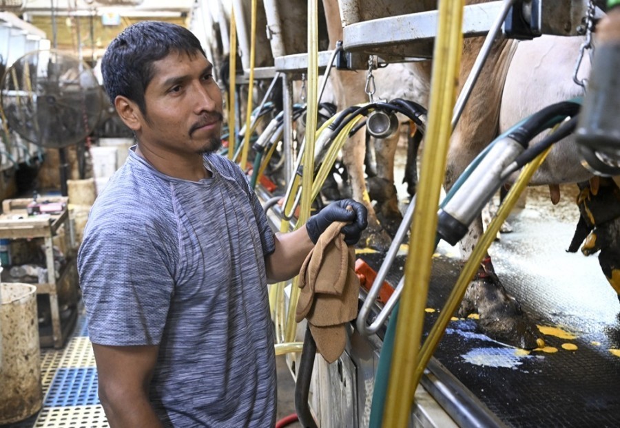 El empleo en México se mantuvo cerca de mínimos históricos en junio, con un alza marginal. Foto AP/Hans Pennink