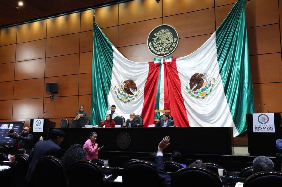 La iniciativa para la desaparición de siete órganos autónomos fue aprobada en comisiones de la Cámara de Diputados. Foto archivo