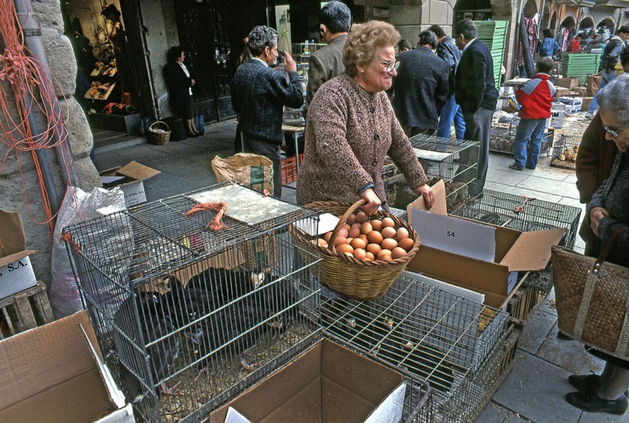 Los precios del huevo se dispararon en enero y ello provocó parte del repunte en la inflación al consumidor estadoundiense. Foto Flickr